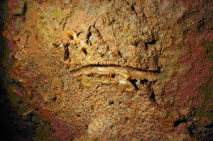 cueva2