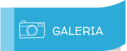 icono_galeria