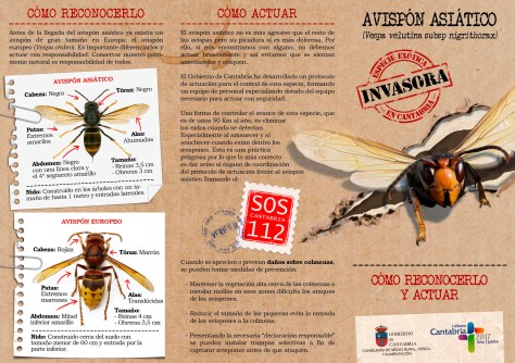 Impresión de fotografía de página completa