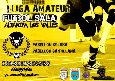 cartel nuevo liga futbol sala