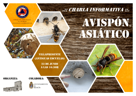 Cartel charla avispón asiático