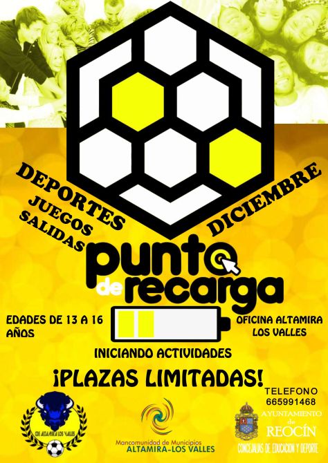 Cartel - Punto de recarga