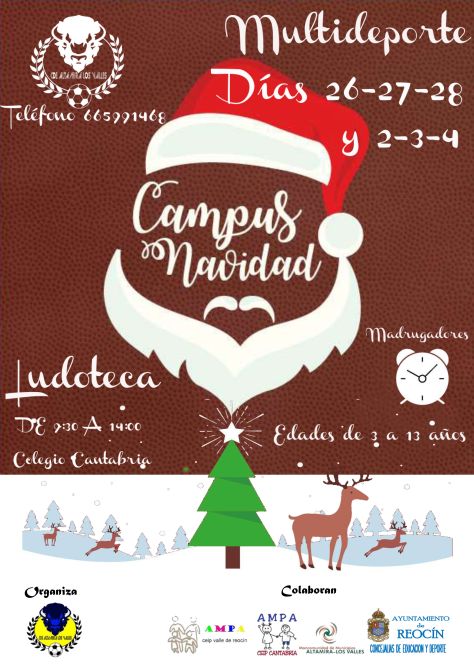 CARTEL CAMPUS NAVIDAD 2018