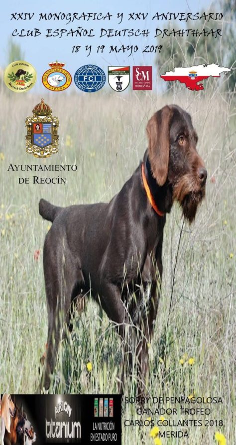 XXIV MONOGRÁFICA Y XXV ANIVERSARIO CLUB ESPAÑOL DEUTSCH DRAHTHAAR